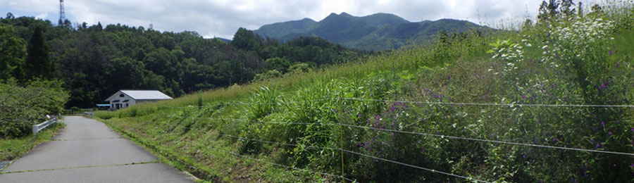 用地測量